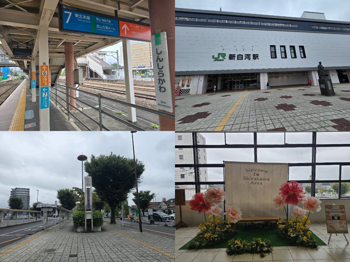 Knyawitter's tweet photo. #コスモス さん #白河 #老久保 店のオープン第5弾セールに須賀川駅南店第1弾のついでに訪問（1/3） 何と意外に客入りは第1弾からそんなに衰えておらず第2弾水準でも混んでいた…。臨時レジをスリッパ売場にしちまったのは悪手に思った。 #コスモス薬品 #ドラッグコスモス https://t.co/2IGJE4JbtI https://t.co/QL1b7g0Gqg
