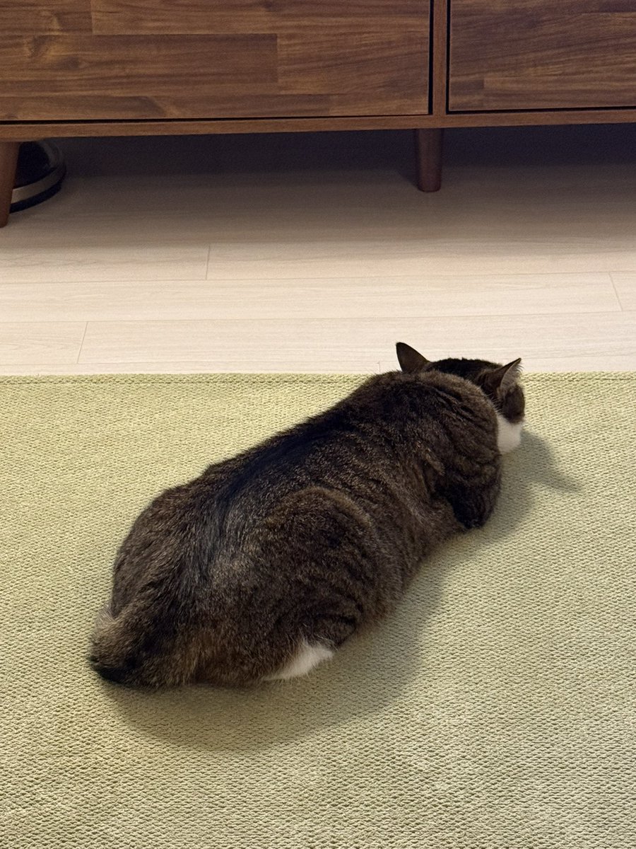 ppuri0921's tweet photo. 덩어리 https://t.co/rFGoIyW6ev