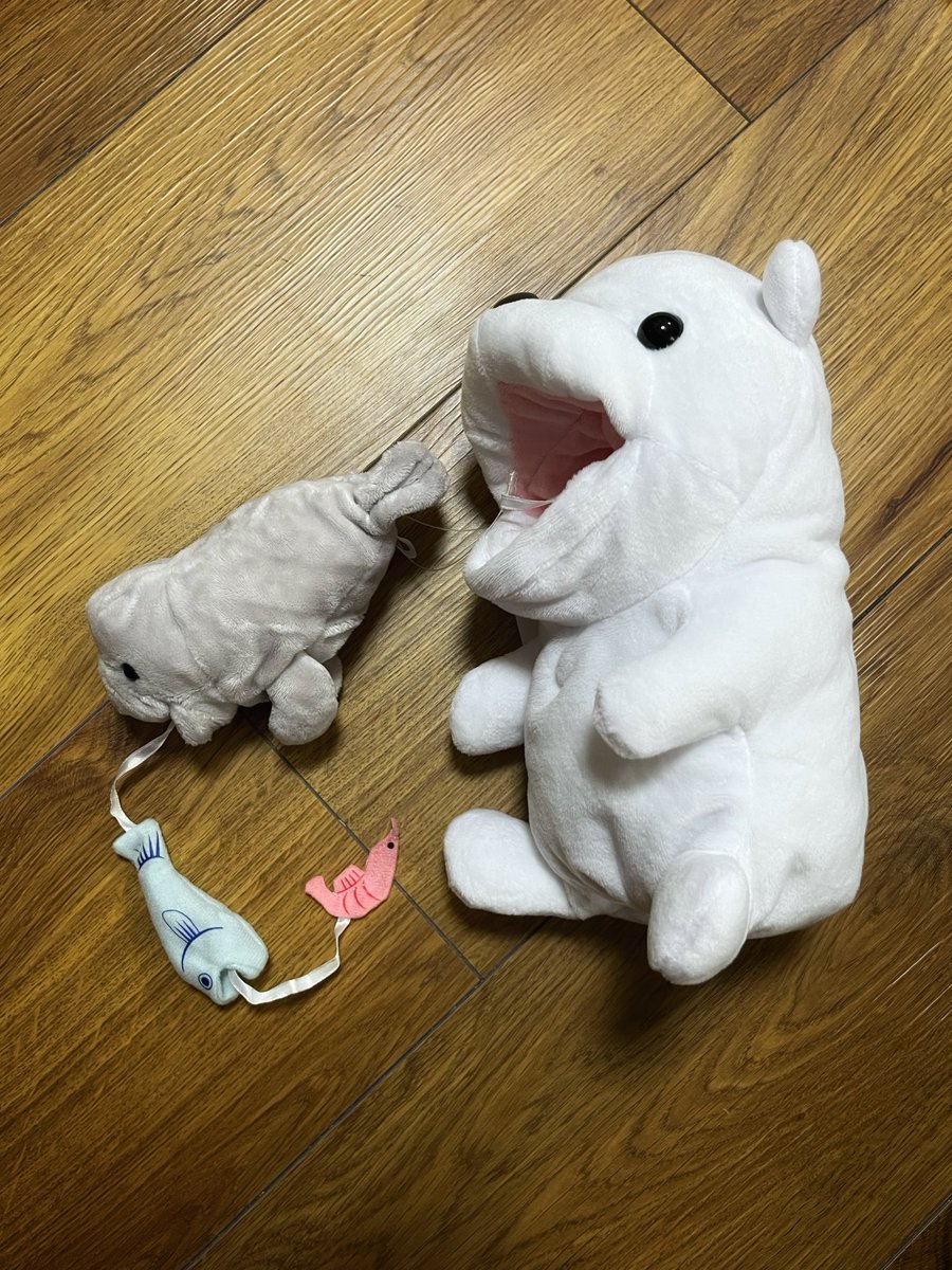 papagazyo's tweet photo. 科学館で買った食物連鎖ぬいぐるみ🐻‍❄️🦭🐟🦐 https://t.co/cbawySWgtm