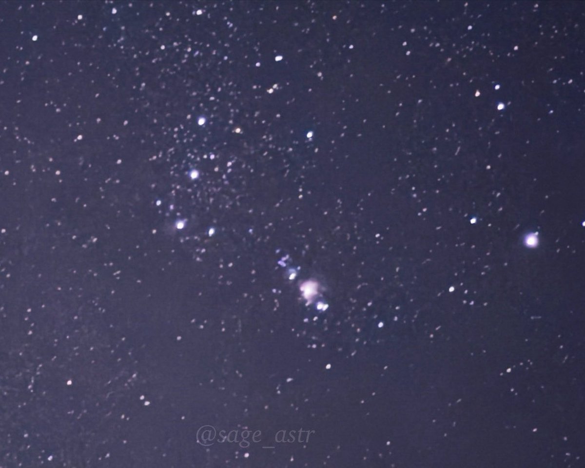 sage_astr's tweet photo. orion https://t.co/7pKWxJ1LU1