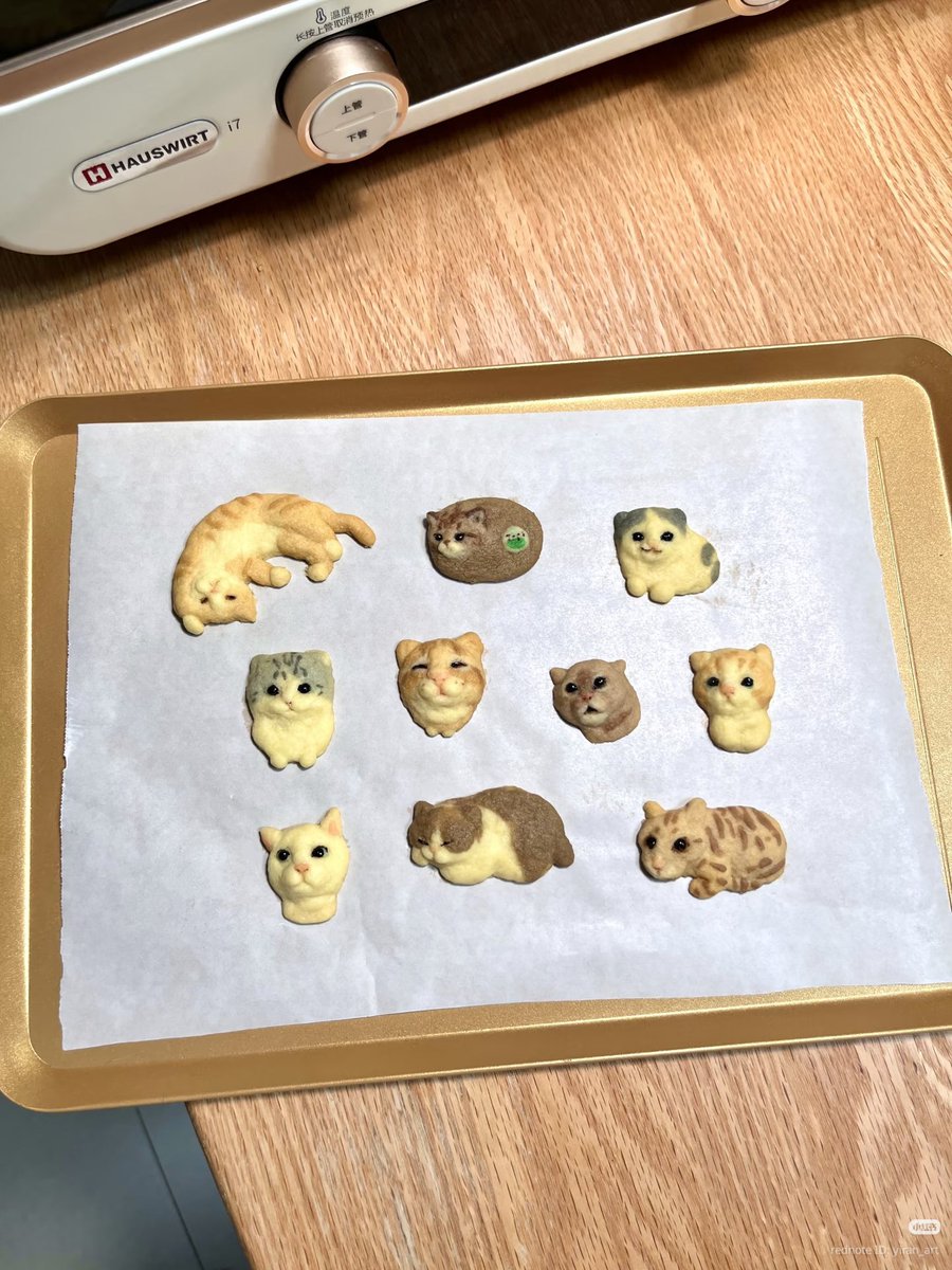 nocontextscats's tweet photo. CAT COOKIES https://t.co/CK40BW4tNR