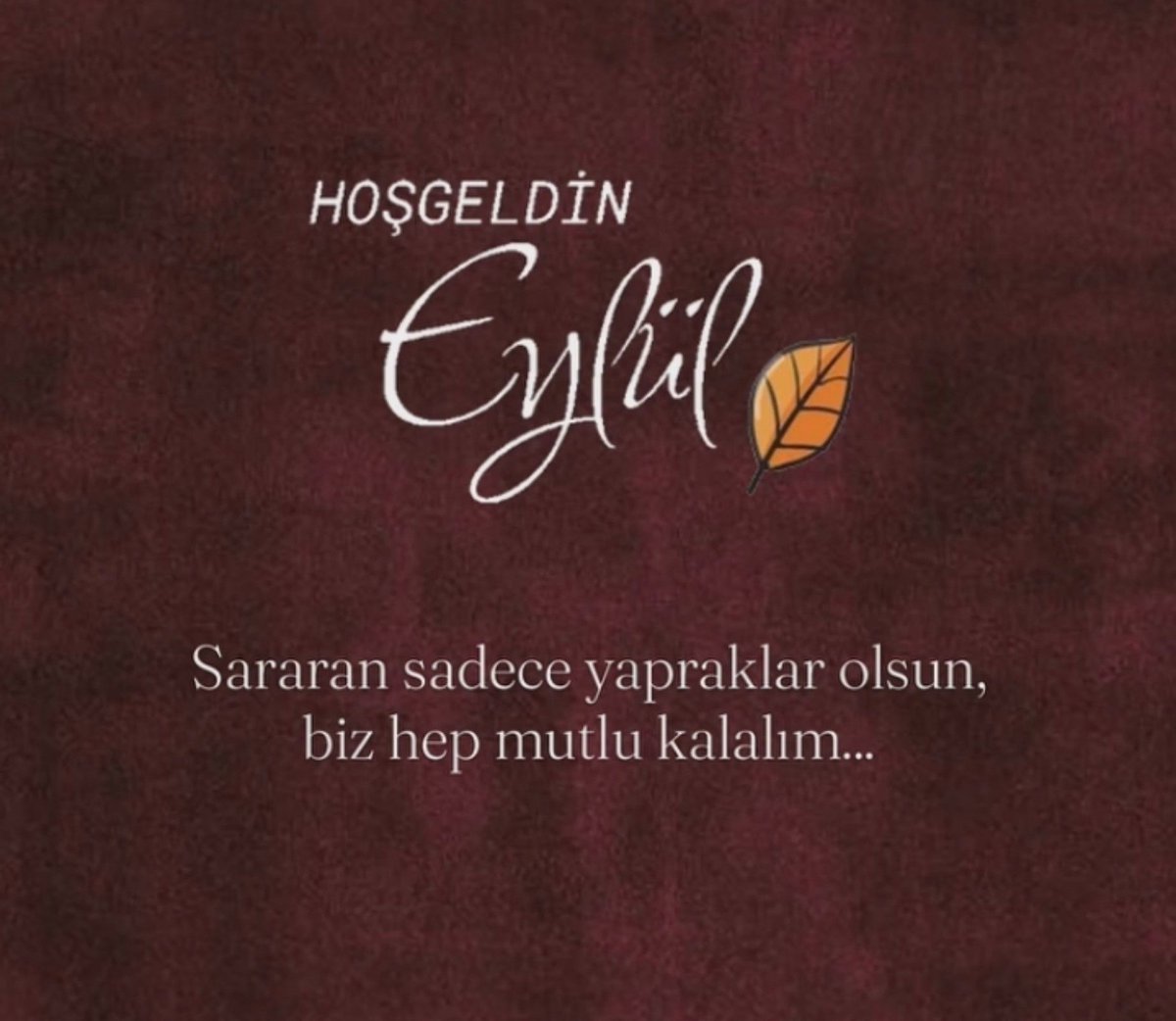 sevgilikendin's tweet photo. https://t.co/WGoKOdwX2q