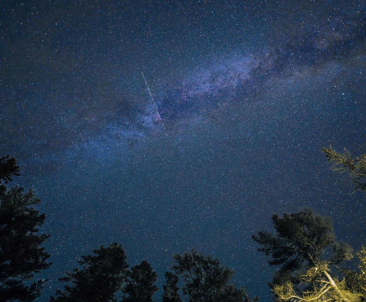 RichardKastvhy's tweet photo. 2AM with Loki deep in the woods. Sometimes I forget we’re blanketed by a million stars. https://t.co/pR94FWUU1n