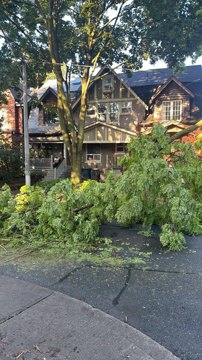 then_in1998's tweet photo. @311Toronto It hasn’t been cleared yet. just FYI https://t.co/YiqnP1yzHf