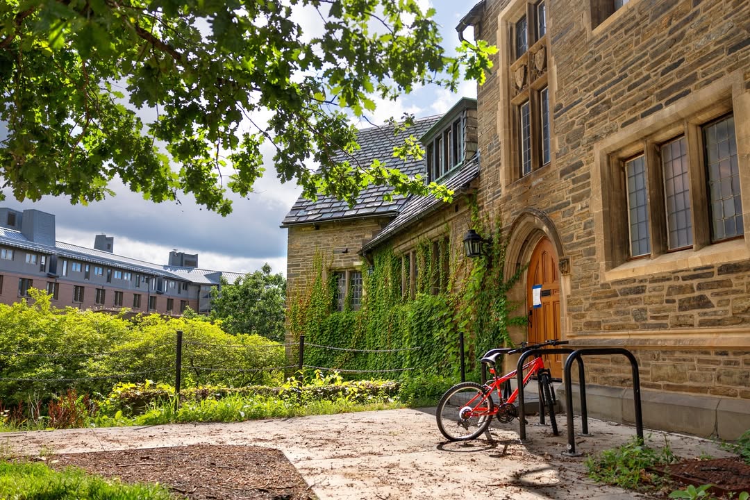 Cornell's tweet photo. Quiet moments from across Cornell. https://t.co/sDrW1dwpBZ