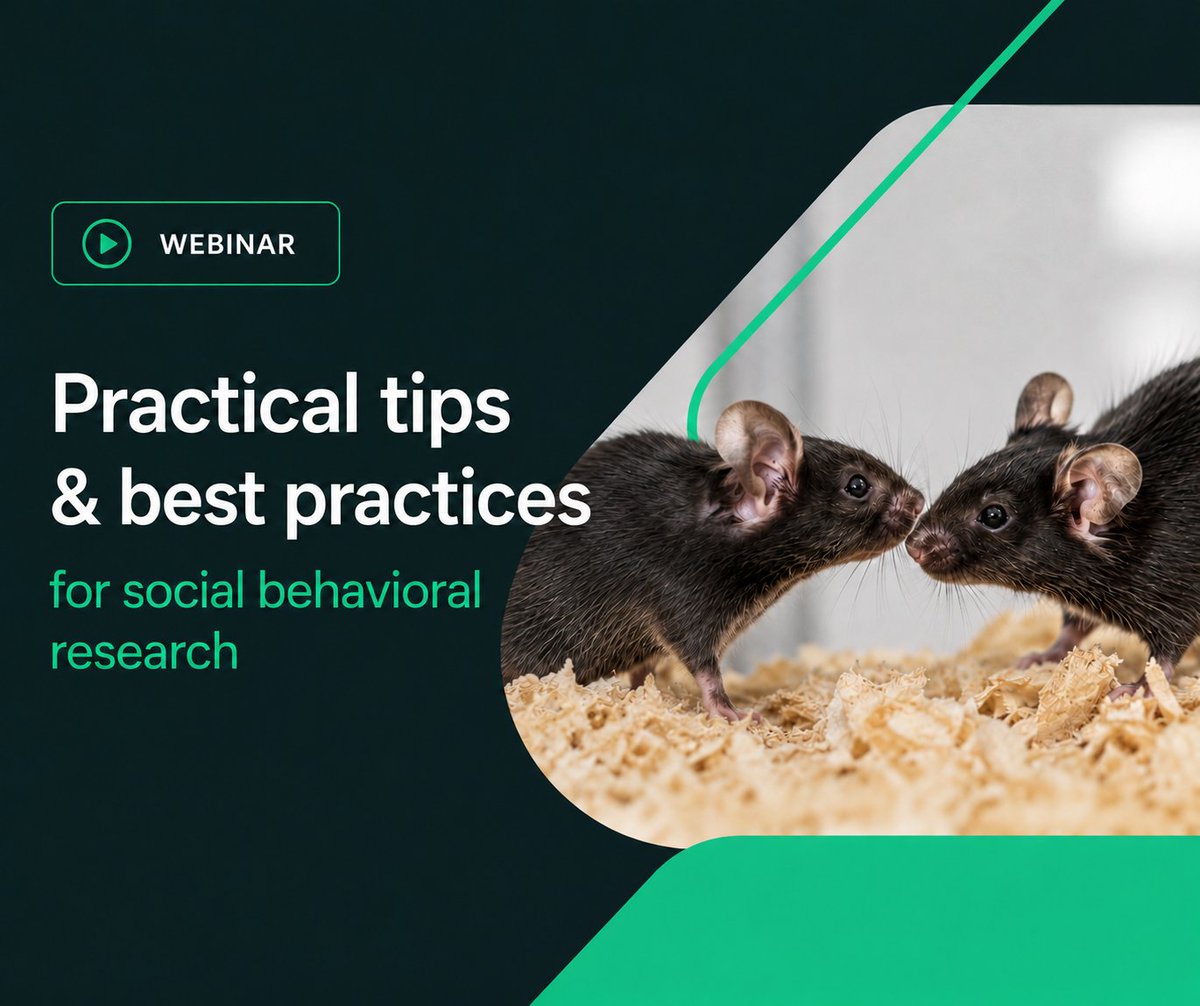 NoldusIT's tweet photo. Studying social behavior sounds simple — until you decide what to measure and how.
Our webinar shares practical tips for social behavioral research, including automated tracking with EthoVision.
▶ https://t.co/q2o0m1kZ3u
#EthoVision #AnimalBehavior https://t.co/xFXB7FwmQ2