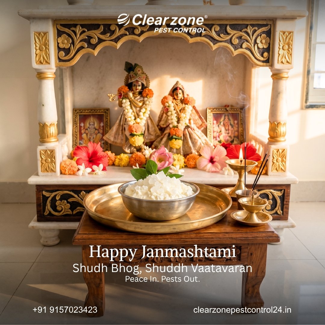 krpatel1981's tweet photo. Happy Janmashtami 🦚

Celebrate Happy Janmashtami with devotion, cleanliness &amp; a peaceful home. 🪷🙏
Keep unwanted pests away with professional solutions from ClearZone Pest Control.

📞 +91 7487051734
🌐 https://t.co/MnmDGIdpI5

#HappyJanmashtami #Janmashtami #Krishna https://t.co/r53kczglab