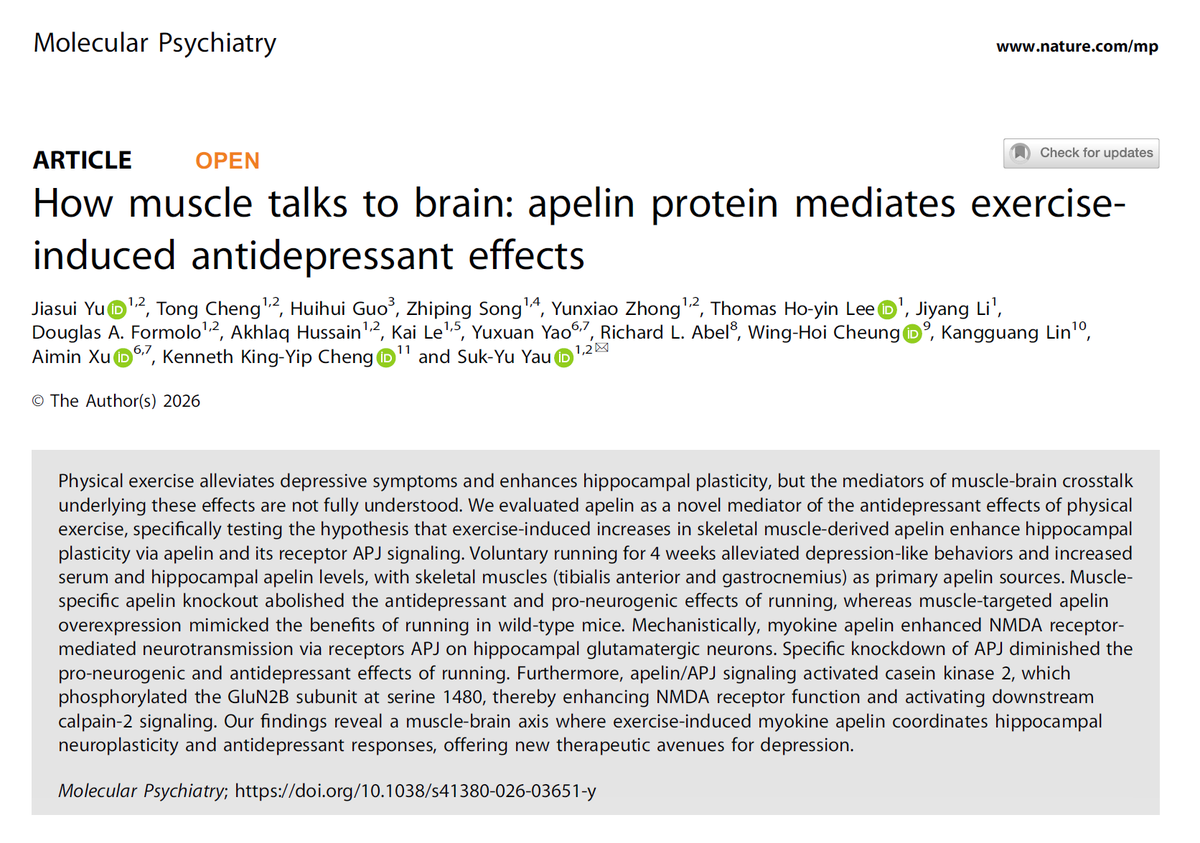 NTFabiano's tweet photo. Muscles talk to the brain to fight depression.

The gym bros were right. https://t.co/YQiXCWfTp5