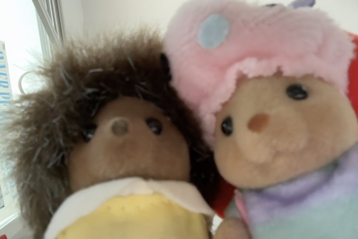 bmheebear's tweet photo. 🦦🍎🐛*🦔🤳🏻 https://t.co/7IGuC487rT