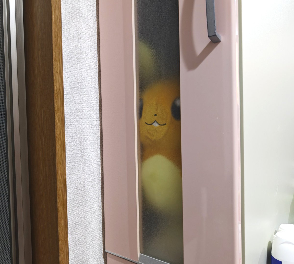 colonedene's tweet photo. >o'ᾥ'o<「チィィィ!!!ここから出すンネェーーー!!!」 https://t.co/BXAsaxb73y