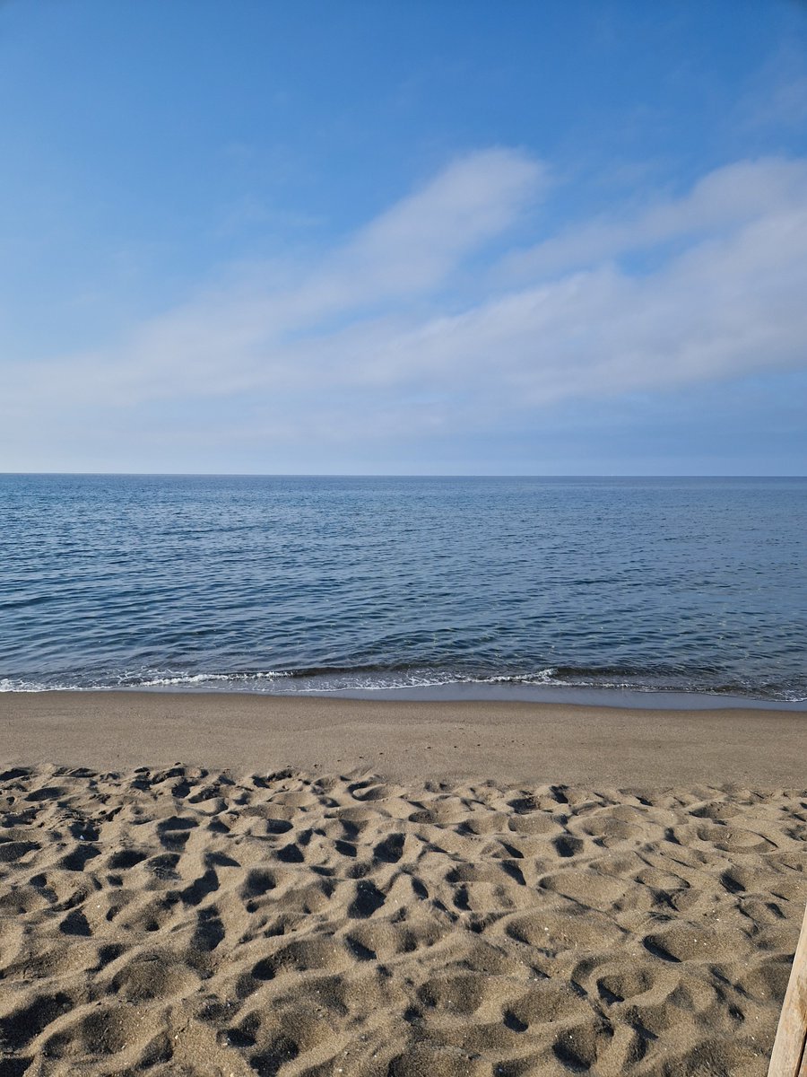 LoSfumato95's tweet photo. Spiaggia nudista di Macchiatonda, Capalbio (GR). Un luogo dove il mare incontra la natura e la libertà 🌊☀️ Ottima spiaggia per staccare da tutto, godersi il sole e vivere il mare in totale naturalezza 🌿 https://t.co/GTn22aWXPg
