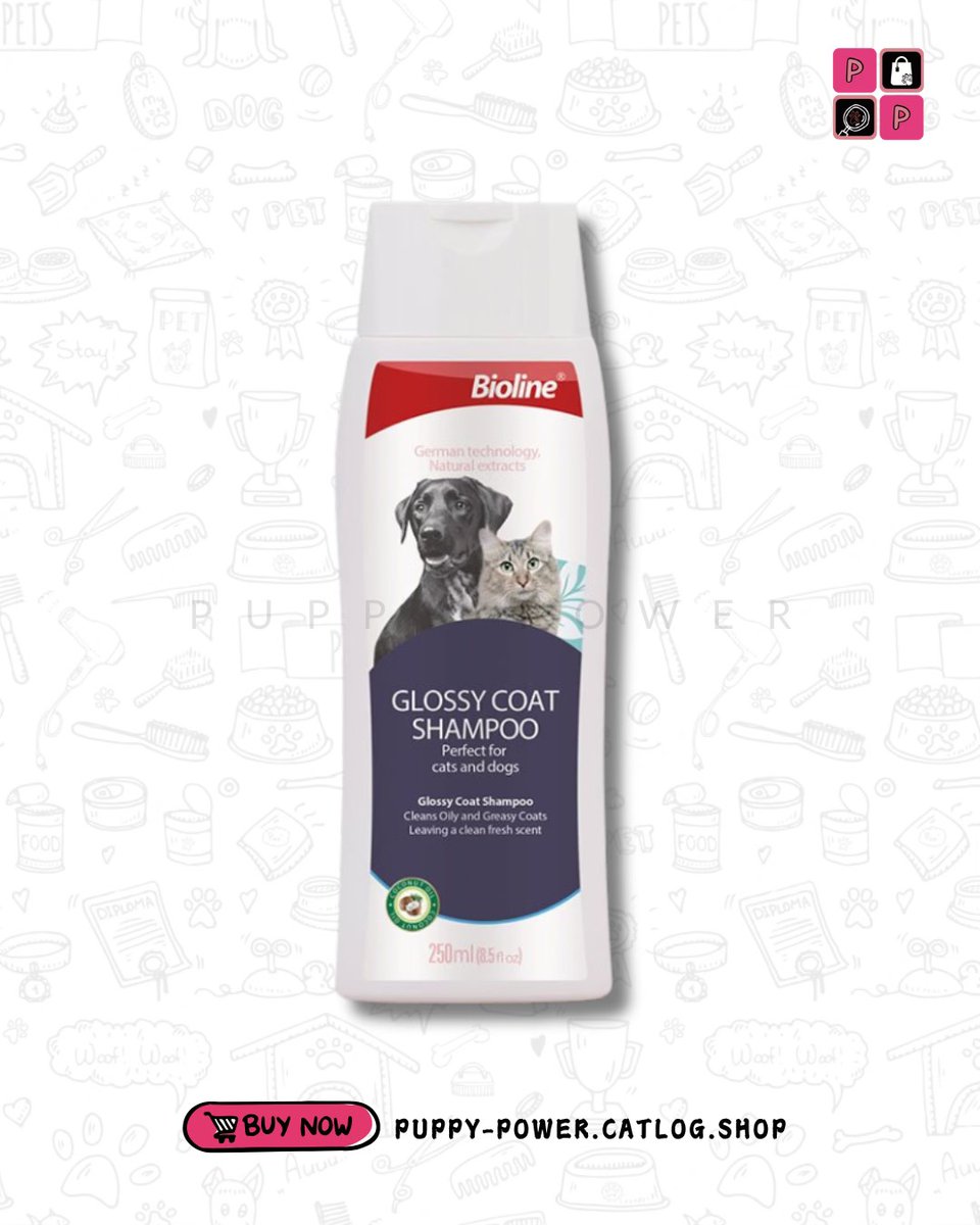 puppypowergh's tweet photo. Clean coat, fresh scent, happy pet!

Give your furry friend a proper bath with Bioline Glossy Coat Shampoo, made for both cats and dogs. Perfect for cleaning oily and greasy coats while leaving a fresh scent. https://t.co/e8VWBmAtAb