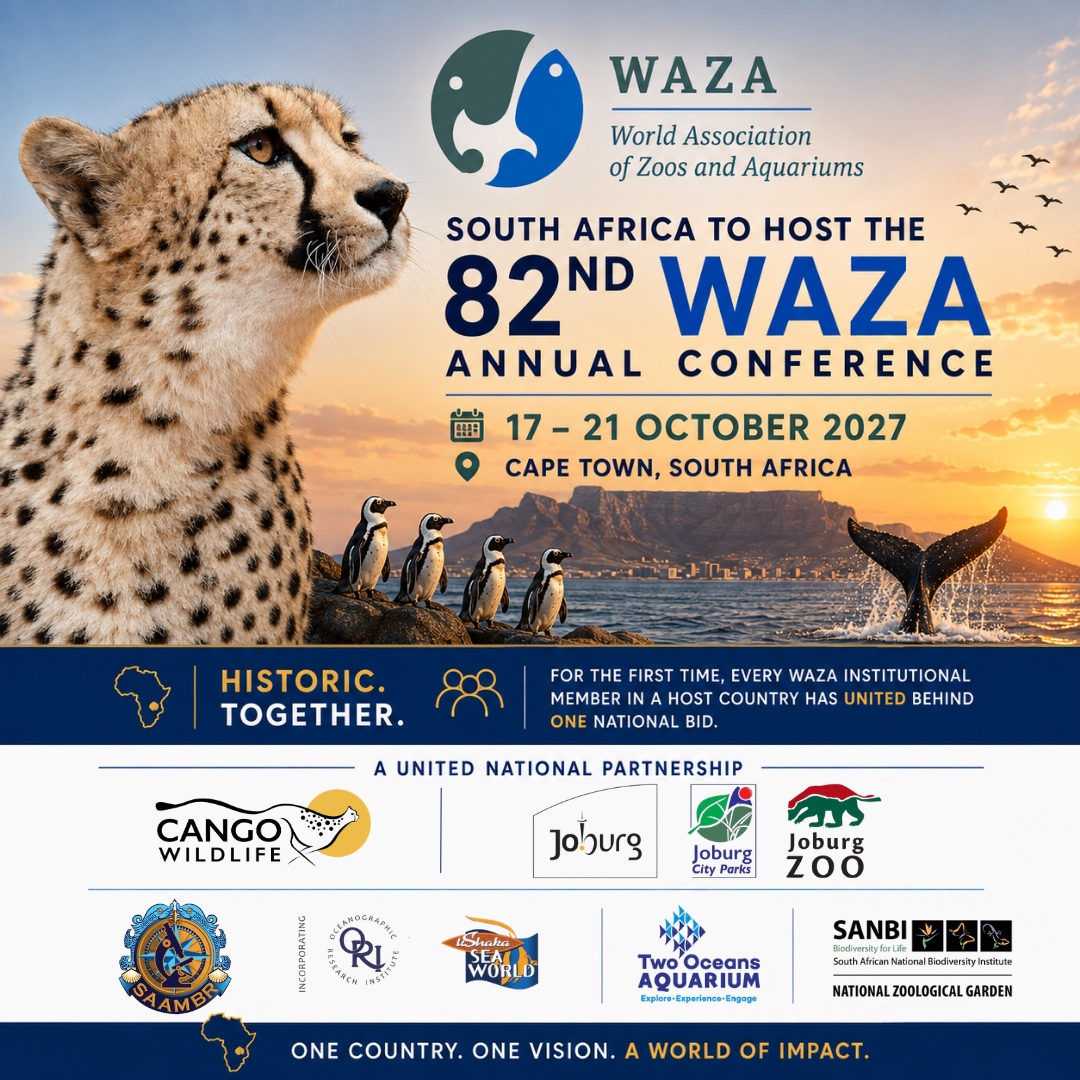 JoburgParksZoo's tweet photo. A Historic First: The WAZA Annual Conference Heads to South Africa in 2027 🇿🇦🌍

From 17–21 October 2027, the global zoo and aquarium community will gather in Cape Town for the 82nd World Association of Zoos and Aquariums (WAZA) Annual Conference.

For the first time in WAZA Annual Conference history, every institutional member in a host country has united behind a single national bid. The conference also marks WAZA’s return to the African continent after 28 years.

Cango Wildlife and Johannesburg City Parks and Zoo will serve as hosts and coordinators, joined by Two Oceans Aquarium, uShaka Sea World (@SAAMBR) and the National Zoological Garden of South Africa (@SANBI).

Founded in 1935, WAZA is the global alliance of leading zoos, aquariums, regional associations and national federations committed to the care and conservation of animals and their habitats, representing nearly 400 institutions and organisations worldwide.

The 2027 conference will place South Africa’s conservation expertise, biodiversity, animal welfare, research and environmental education firmly on the global stage.

As WAZA CEO Martín Zordan said:

"The conference may take place in Cape Town, but its perspective, its expertise and its welcome will come from across South Africa.”

This is more than a conference. It is a historic moment for South Africa’s zoological and conservation community, and an opportunity to show the world what can be achieved when we stand together with a shared purpose. 🇿🇦🌍

📍 Cape Town, South Africa
📅 17–21 October 2027

#WAZA2027 #WAZA #SouthAfrica #JoburgUpdates #Conservation #Biodiversity #ZoosAndAquariums #WorkingTogetherForWildlife