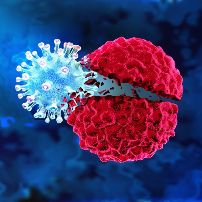 COVID19_disease's tweet photo. 🚨 BREAKTHROUGH: Scientists have engineered a virus that invades and destroys glioblastoma one of the deadliest brain cancers while turning the immune system into a relentless tumor-killing force

This could be a historic shift in cancer treatment https://t.co/Tl4v2303Bk