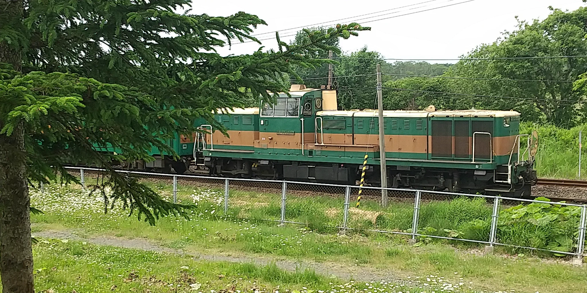 掛軸-1144 静山 鉄路一筋 共箱 デゴイチ 鉄道画 掛軸-1144 静山 鉄路