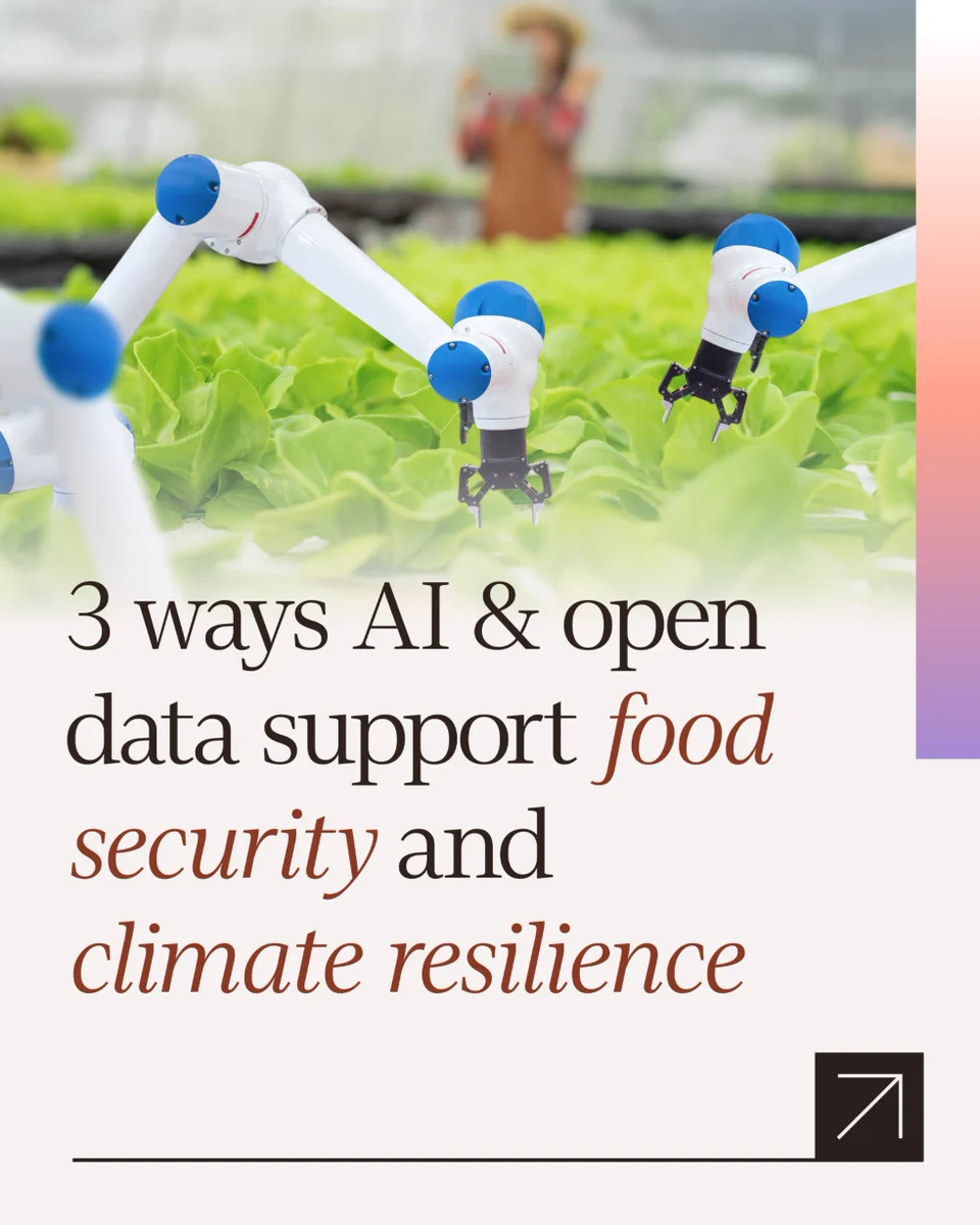 3 ways AI & open data support food security and climate resilience 

 