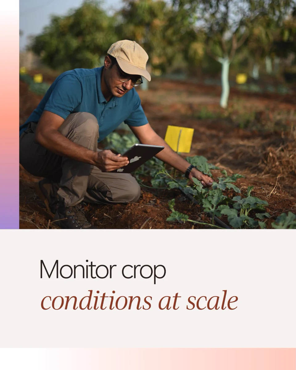  Monitor crop conditions at scale 

 
