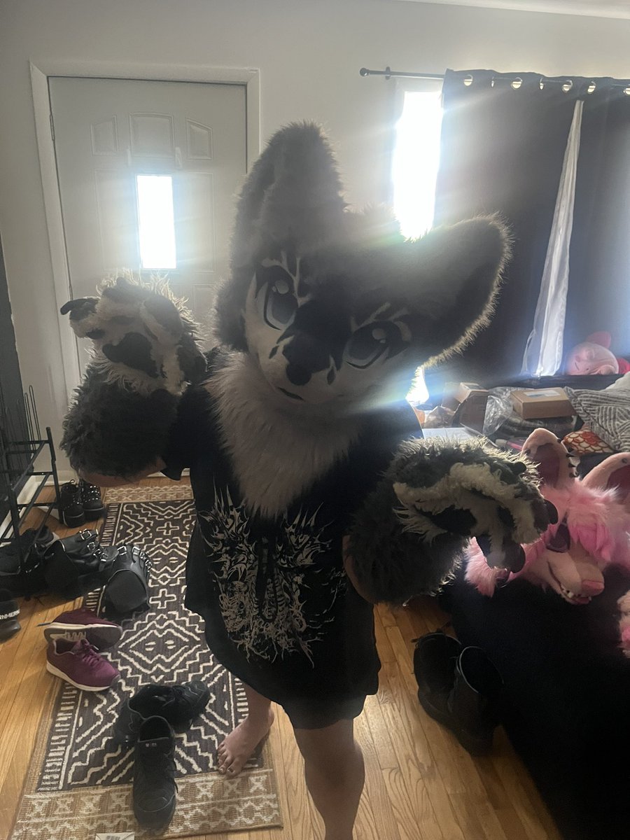 FerretLuvv's tweet photo. Meet Vika! a new sona I just got from another lovely person! https://t.co/dcLUl2gwlY