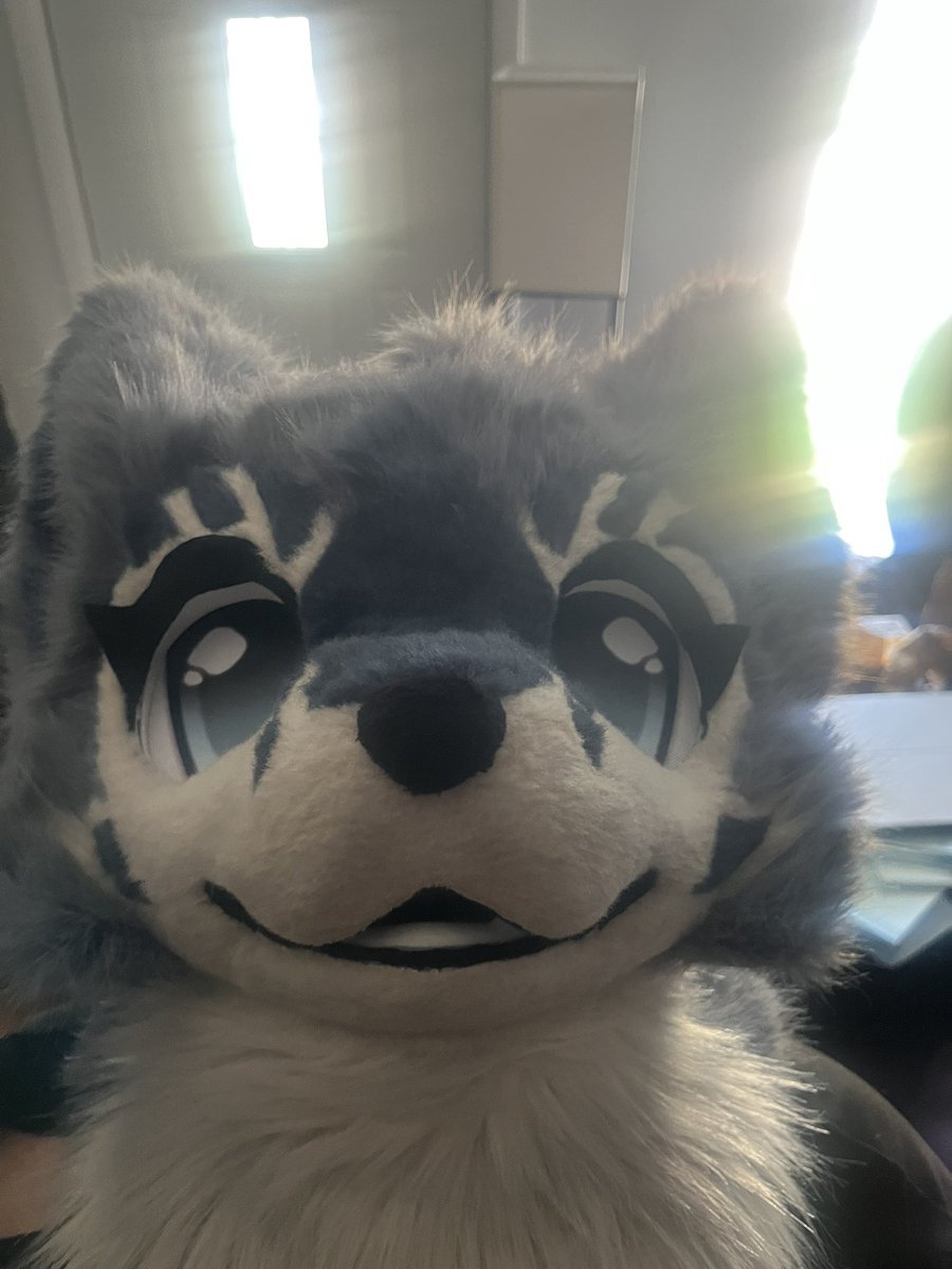 FerretLuvv's tweet photo. Meet Vika! a new sona I just got from another lovely person! https://t.co/dcLUl2gwlY