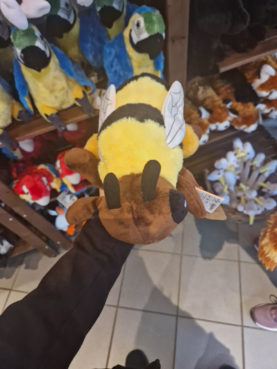 QuantenAli's tweet photo. Even more zoo pics #zoo #redpanda #animals #bee #goose https://t.co/7857CeBRaB
