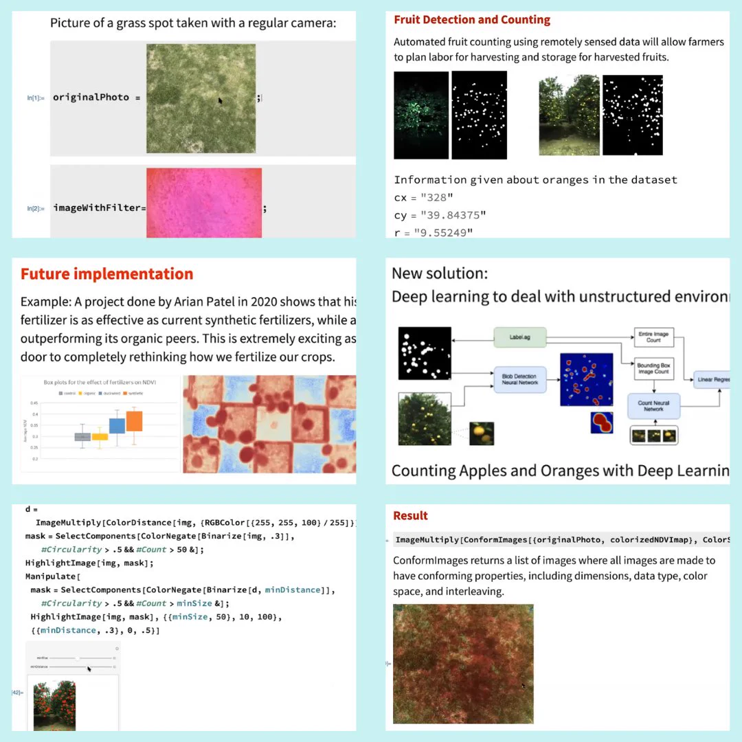 Presentation from the Wolfram Virtual Technology Conference titled "Computational Farming" by Zhamilya Bilyalova.
