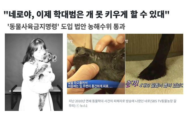 aniko_welfare's tweet photo. "동물을 고문하고 죽인 사람이 처벌받은 뒤 다시 동물을 키우는 것을 막을 수 없었다. 심지어 구조된 동물도 일정한 요건을 갖추면 다시 학대자에게 반환해야 하는 문제가 있었다."(기사읽기: https://t.co/BWliSbwlic) https://t.co/O0cD5Gh9Mr