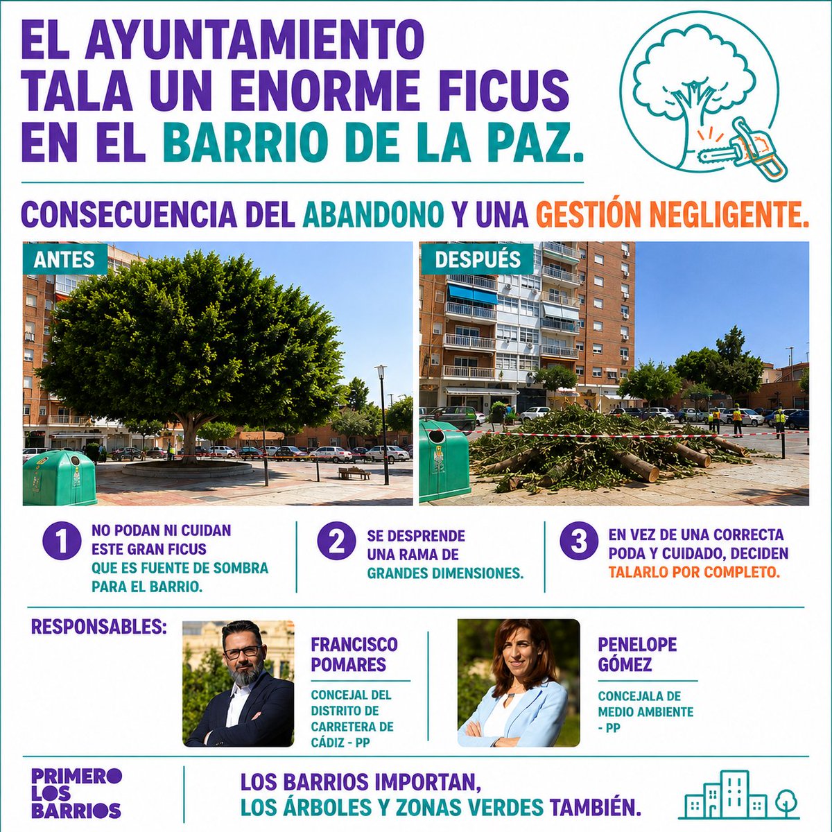 NicoSguiglia's tweet photo. 😡🌳 El mal gobierno del PP en #Málaga tala un enorme ficus en La Paz. 

Lejos de cuidarlo y podarlo en condiciones, lo han talado por completo. 

Una muestra más de la nefasta gestión del PP. 

Los barrios importan, los árboles y zonas verdes también.

#PrimeroLosBarrios https://t.co/N1h9l26QWL