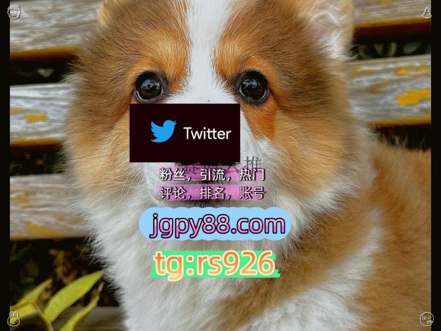 chihuaranger's tweet photo. Make hope your constant companion now.
代发自动脚本外🐕facebook海外获客🪐主人的任务🌱
矩阵互动🌞輔助工具🌂推特账号粉丝号青岛
霸屏🪐群发私信💐海外获客🍀代发围289417批量发帖、多账号管理、推广营销
矩阵互动🌞輔助工具🌂福州厦门泉州莆田代发银川   💂客.服看→资.料
推特矩阵管理、营 https://t.co/po4LJuJDfW