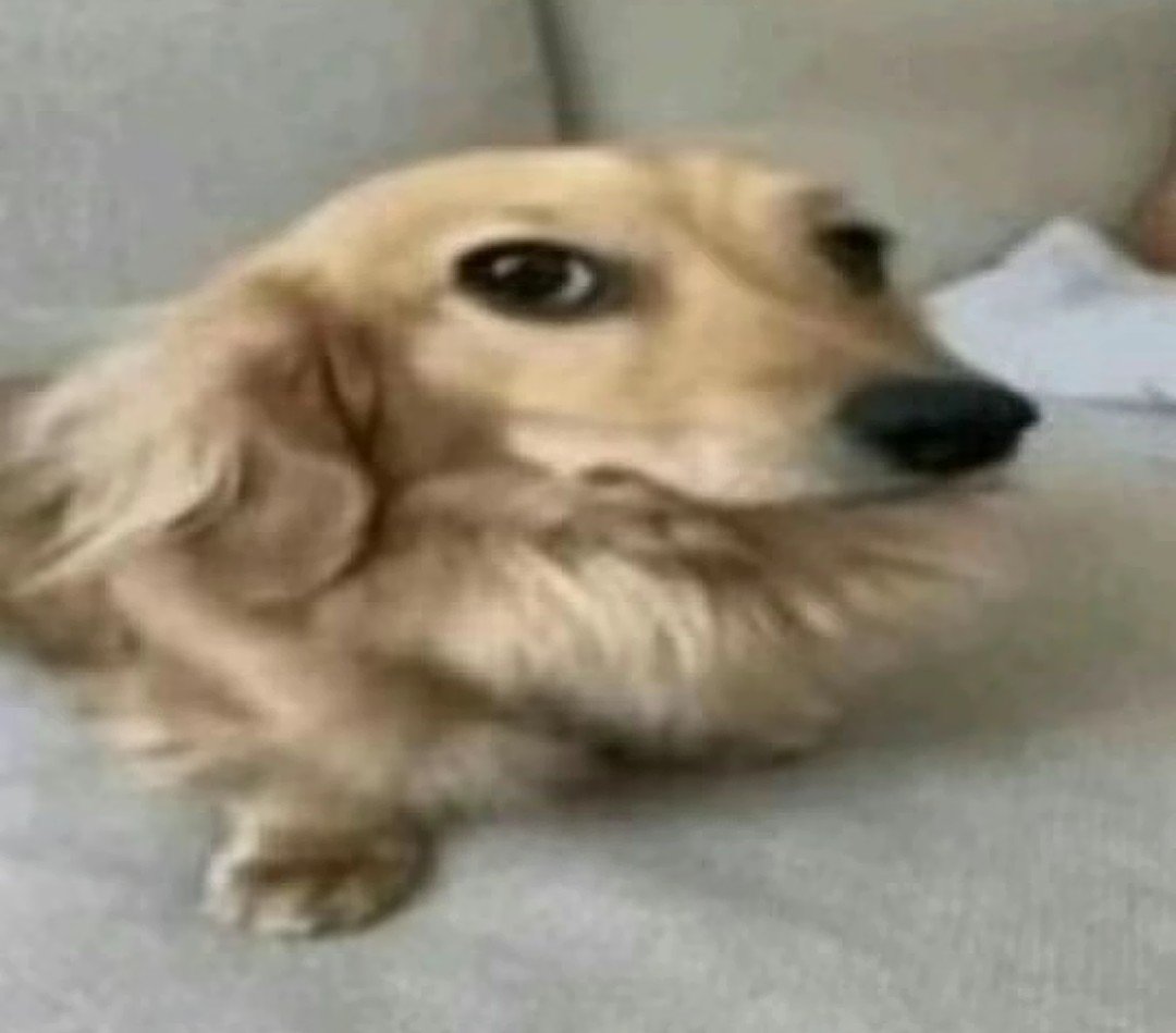StevenTweets34's tweet photo. how I feel tweeting to the void:

me: hi void
void: what up didy
me: oh shi ts only in folk valley fr fr
void: go kill yourself faggot
me: mb gang https://t.co/CU9WqXcxGF