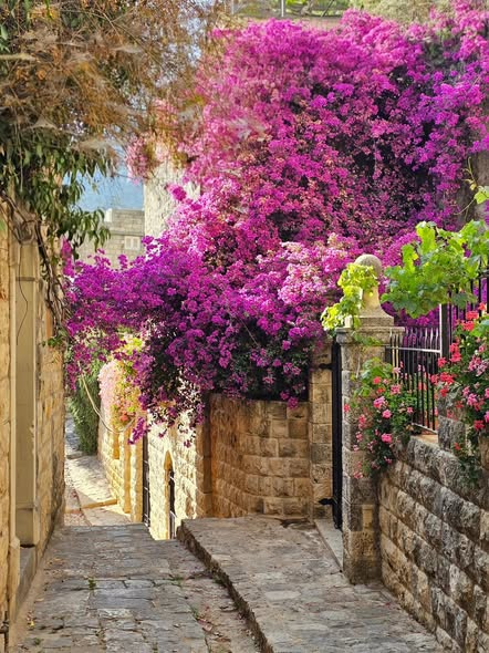 Karminsaeed's tweet photo. القرى اللبنانية إلها سحر خاص… بيوت حجر، شوارع هادية، وذكريات ما بتروح 🏡🇱🇧
#قرى_لبنان #لبنان https://t.co/98vVwcPQ4U