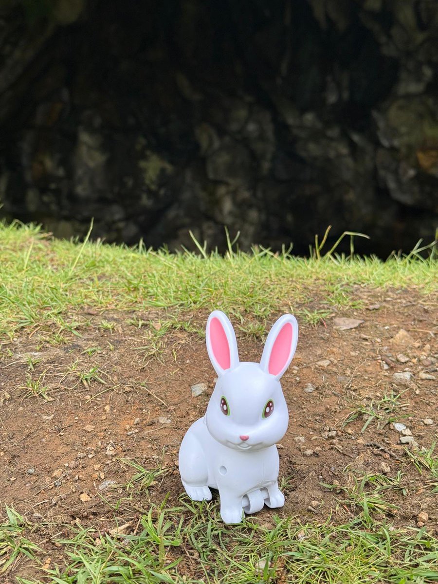 Taff_Gillingham's tweet photo. Following our recent visit to the Lair of the Beast of Caerbannog in Scotland we are at the @CambridgeCornEx this evening to see @JohnCleese and the Holy Grail.

The last time I was here was on 28th February 1981 to see The UK Subs!

#RunAway https://t.co/sz8ZYSv7oi