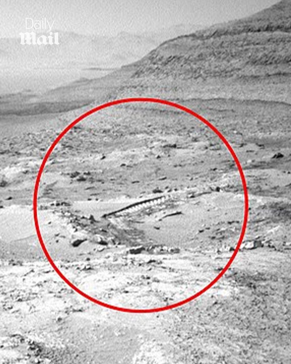 Daily_MailUS's tweet photo. Another strange image has been unearthed in the NASA archives which some believe is evidence of intelligent life driving along the surface of Mars. 🔗 https://t.co/dON9Sm3RgY https://t.co/l47X1xvG5G