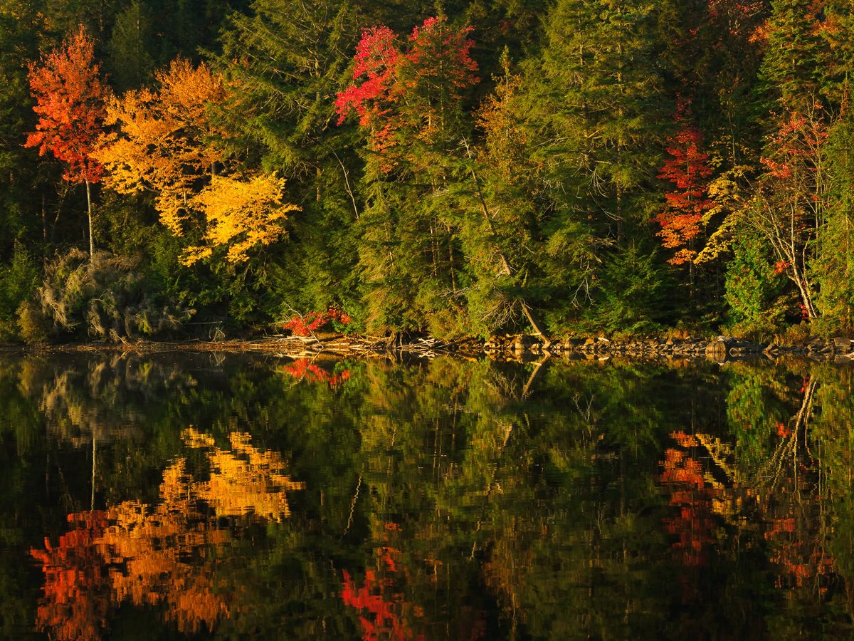 ElouiseNetvyi's tweet photo. we cherish the illusion of depth in our reflections, ignoring that the surface is only skin. https://t.co/Czt1KdEL3F
