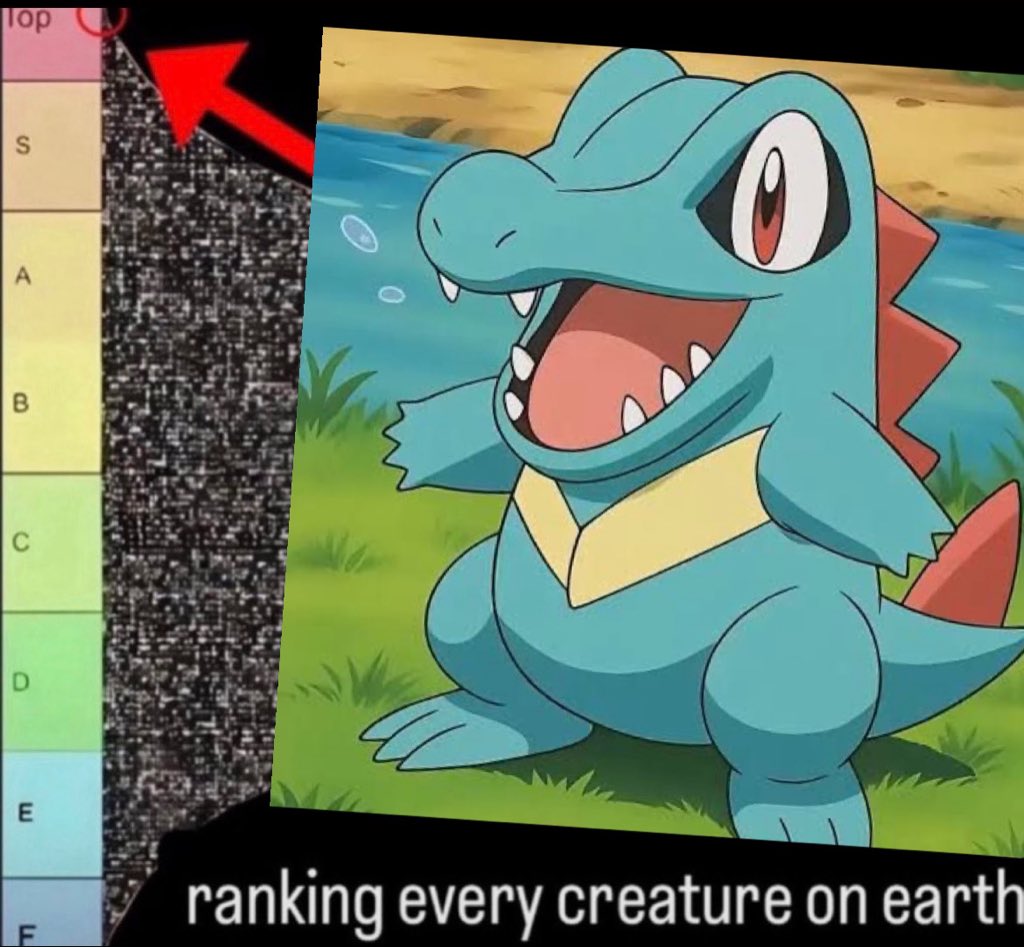 AcervoTotodile's tweet photo. https://t.co/Ht64m1xvqM