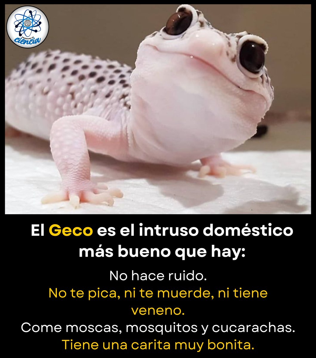 EnsedeCiencia's tweet photo. Héroes sin capa. 🖤 https://t.co/k8KraRghXW