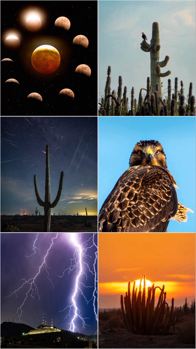 GGerardox2's tweet photo. Estaré publicando cada mes las 6 fotografías que más me gustaron, esta son las de agosto. 
SONORA🌵❤️ https://t.co/LUgs7lVp6C