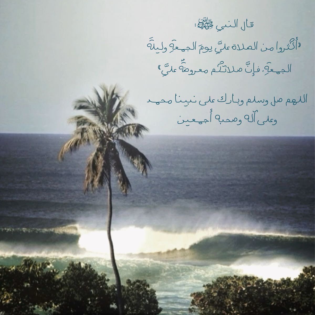 Butterflless's tweet photo. اللهم صلِّ وسلم وبارك على نبينا محمد ❤️ https://t.co/rgjNDzJ81j