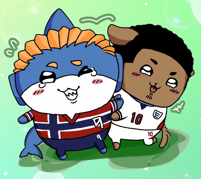 khyroshiro's tweet photo. they were so annoying on the pitch

#haallingham https://t.co/bWTiaI6x2l