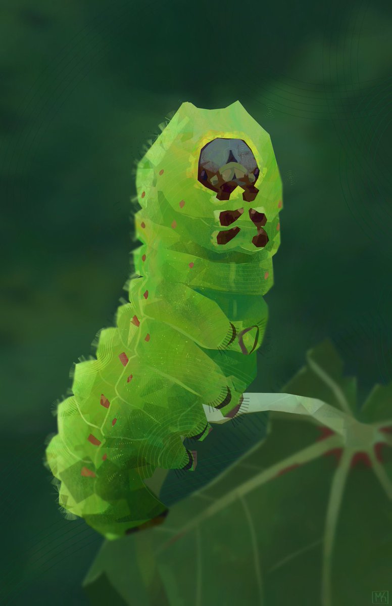 cantaloafer's tweet photo. Oh to be a bug https://t.co/AcKNi132TP