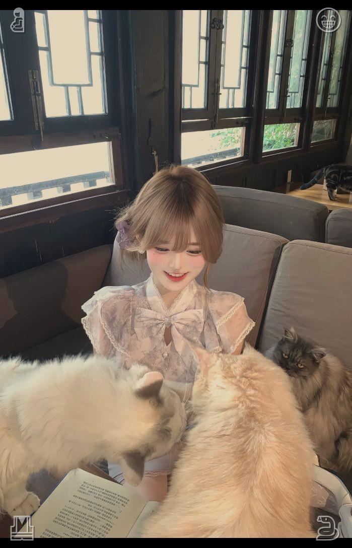 klomae's tweet photo. I forwarded that selfie to Mia with the message: "Morning! Having a chill Saturday. Any plans for today?" She responded: "Just rolled out of bed as well! Up for brunch a bit later? There’s this lovely spot by the park I’ve been meaning to try." ☀️ The sun casting light o https://t.co/RV5ocXnxxD