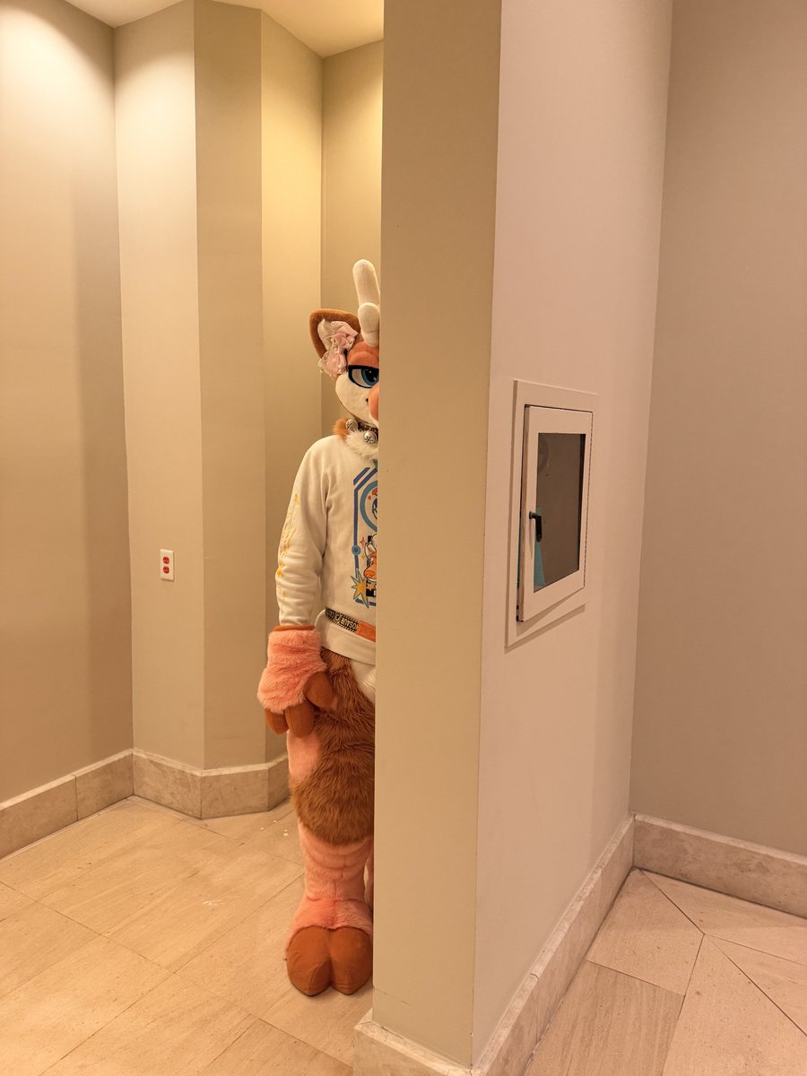 Bagel_deer's tweet photo. Don't stare at him for too long. He'll start to follow you and try to steal the keys to your car. https://t.co/448aWQJf2Q