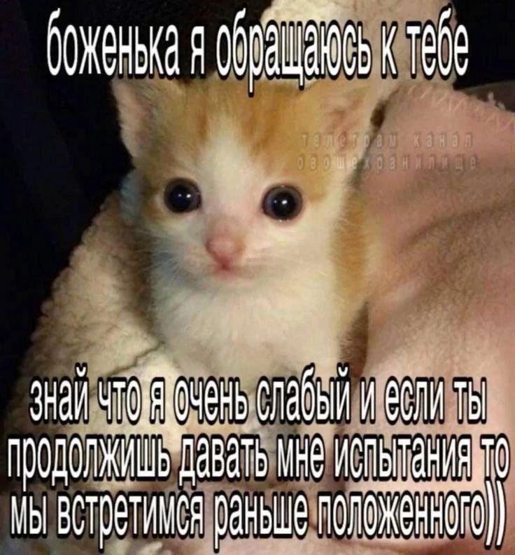 hanji_krieger's tweet photo. у меня жесткое ощущение,что я пишу хуйню,навязываюсь,надоедаю,давлю на жалость и вообще мне сука стыднл за себя из за всего https://t.co/OewHBNs2g0