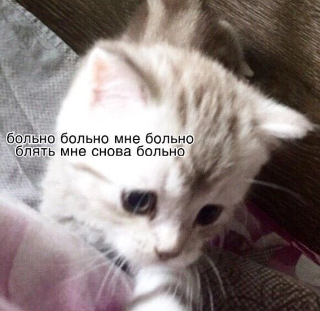 hanji_krieger's tweet photo. у меня жесткое ощущение,что я пишу хуйню,навязываюсь,надоедаю,давлю на жалость и вообще мне сука стыднл за себя из за всего https://t.co/OewHBNs2g0