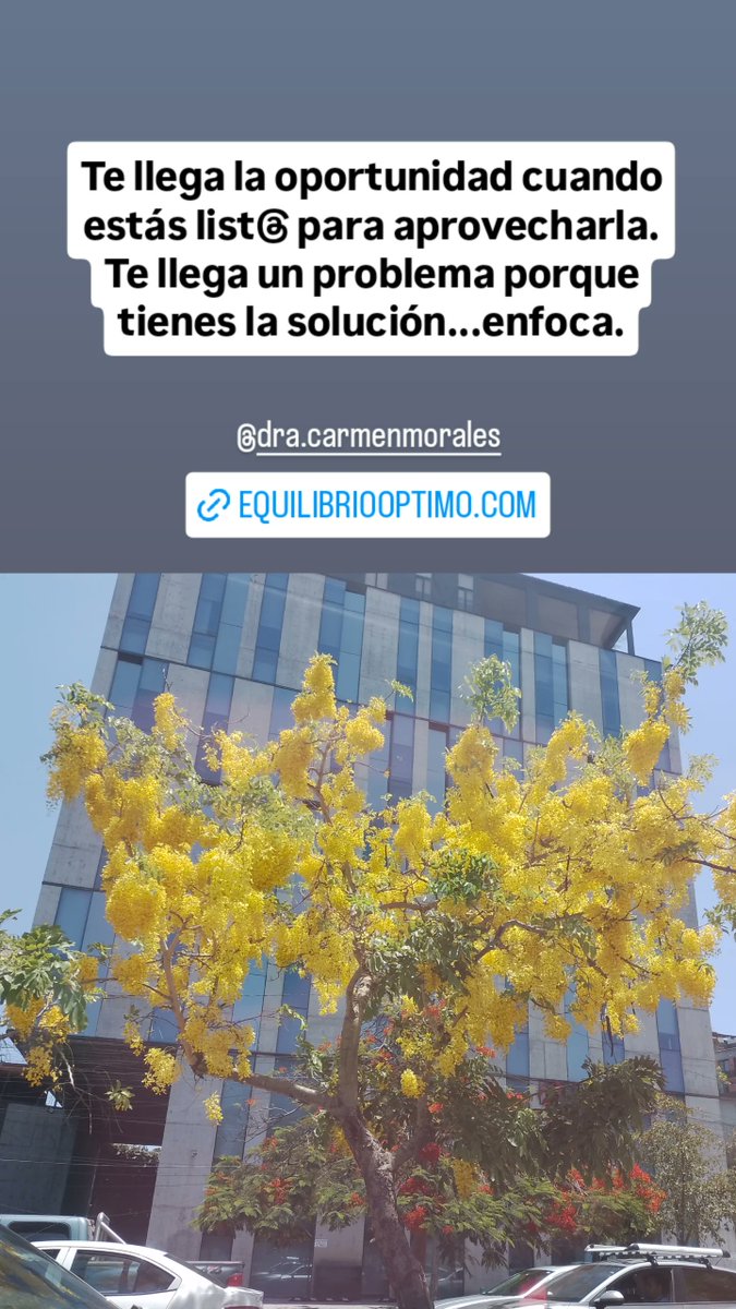 DraCarmenMorale's tweet photo. https://t.co/bnBUaJSsOc #Equilibriooptimo #SaludEmocional #ConsultaOnLine #ConsultaPresencial #Guadalajara #Zapopan #Jalisco #SaludIntegral #MedicinaIntegrativa #Homeopatía #ControlDePeso #ÁrbolGenealogico #Biodescodificacion #FelizJueves #CoreaDelSur #AutopistaXalapa #SacoDePus https://t.co/XUCF4pe1Kb