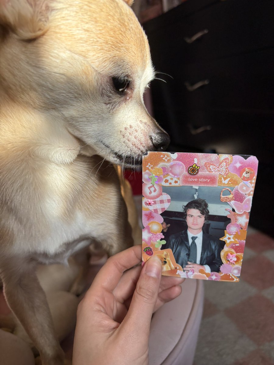 strawkeerydjo's tweet photo. My life outside of Twitter 🍓 https://t.co/yAOWNUTDKp