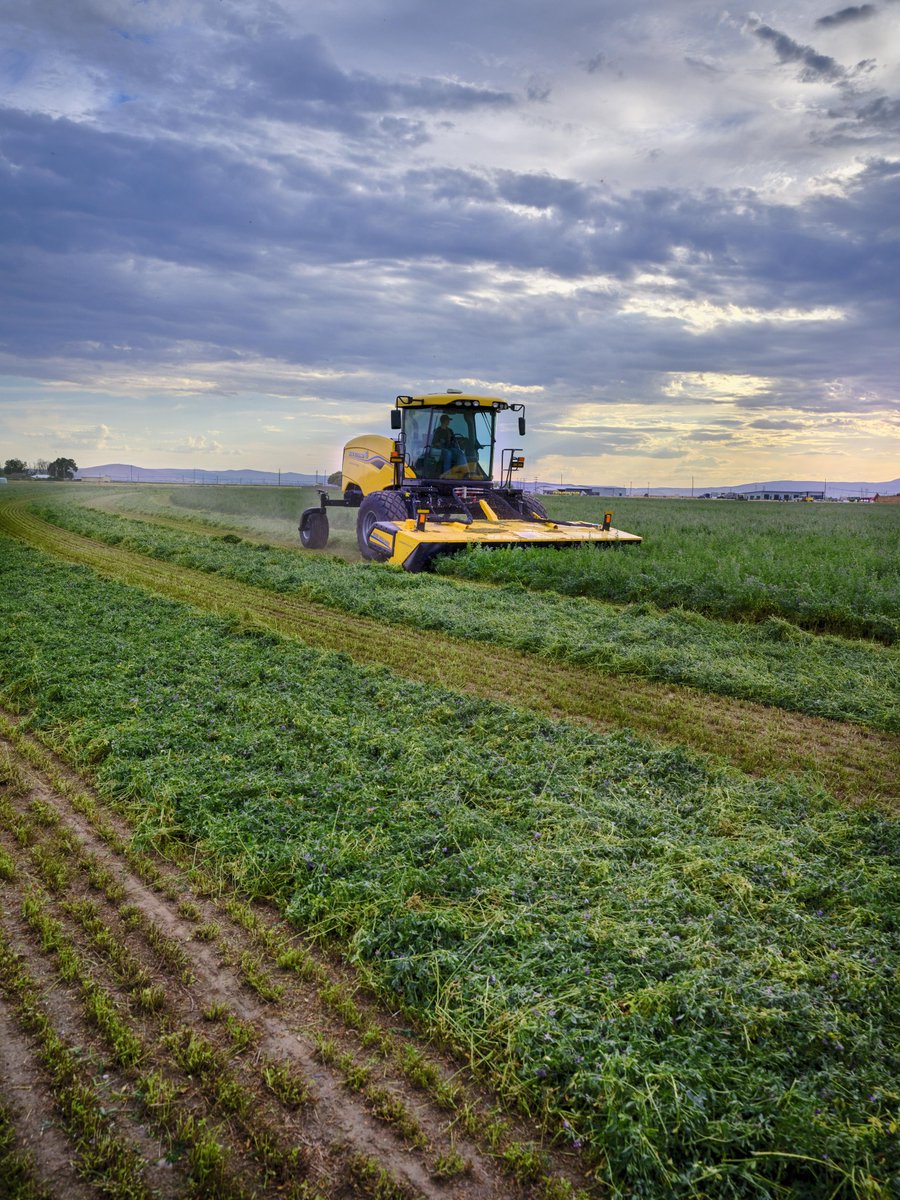 CNHIndustrial's tweet photo. Our brand New Holland just raised the bar for hay and forage growers at Farm Progress Show 2026 in Boone, Iowa. 🌾

The new Speedrower® 1 Series delivers up to 308 hp, field speeds up to 20 mph and up to 43% more runtime per tank. Add Relative Yield Monitoring with lifetime FieldOps™ connectivity at no extra charge, and every cutting window gets a whole lot smarter.

🔗Read the full press release: https://t.co/YgOCYhrqQX

#CNH #FPS26