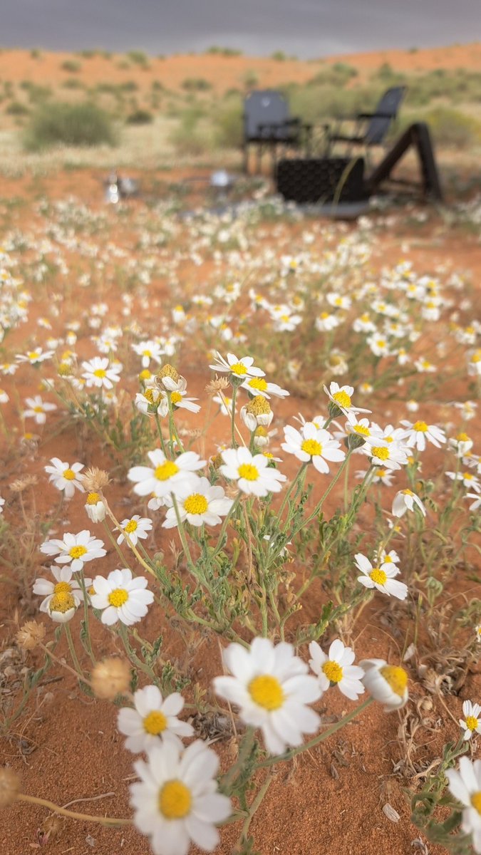 amermd0's tweet photo. #سبتمبر https://t.co/8SBYMDdNVP