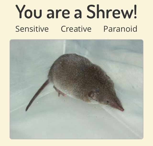alliharvard's tweet photo. you are a shrew https://t.co/m0PxbowNiZ