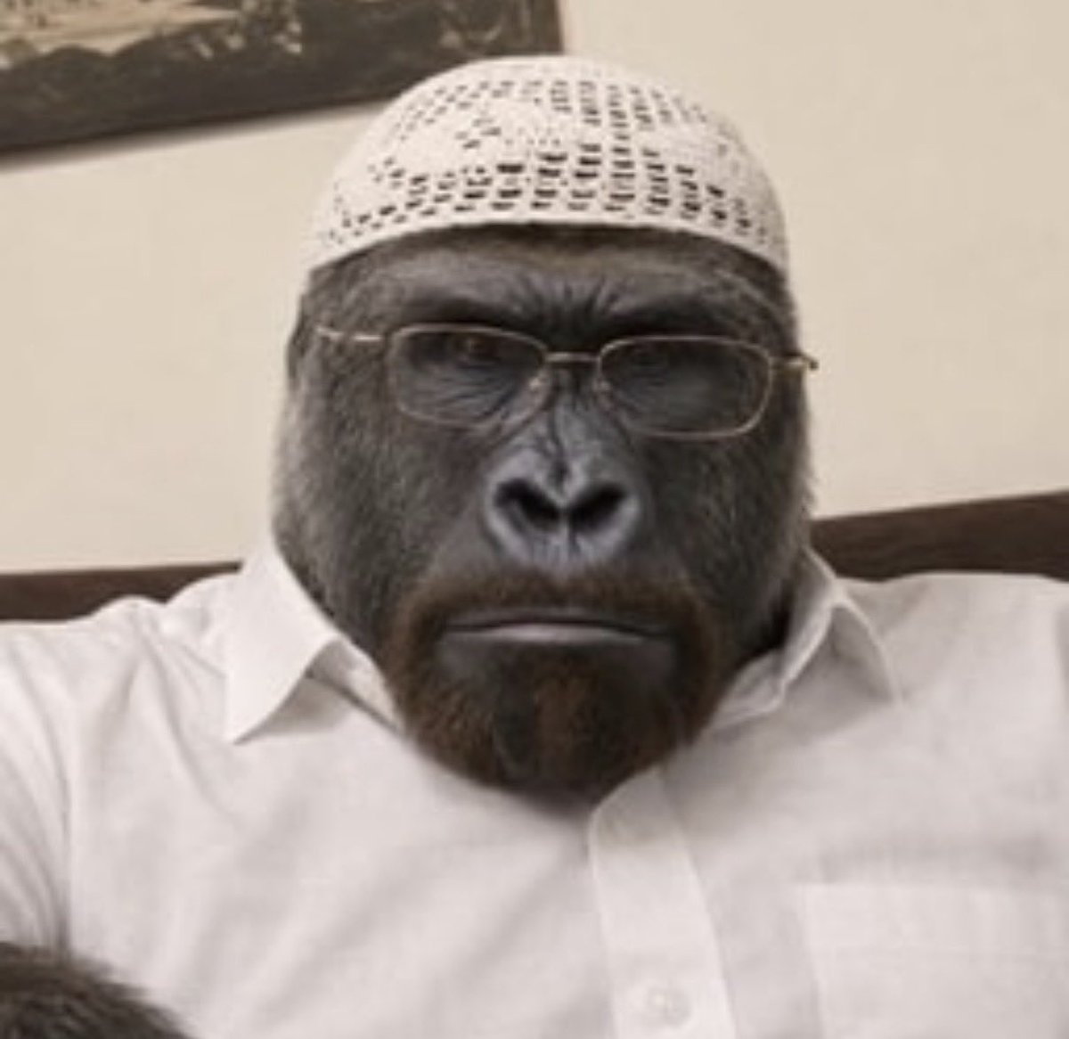 anzorslot's tweet photo. HARAM(BE) https://t.co/GtIfPqtesi