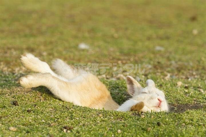 doffysrabbit's tweet photo. OWWWW!!!!!!!!!!!!!!!!!!!!!!!!!!!!!! https://t.co/M8JlO3xymF